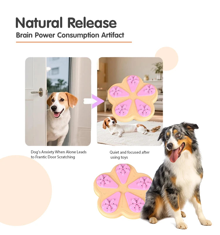 Interactive Dog & Cat Puzzle Toy