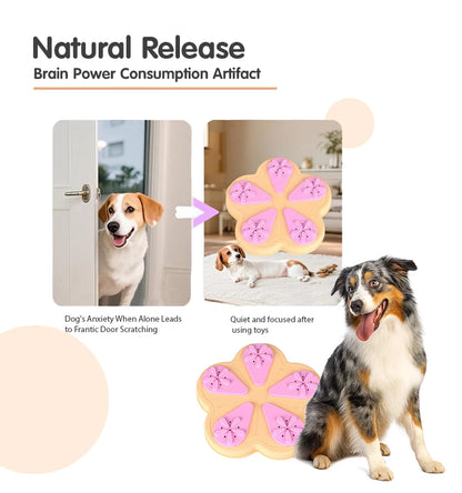 Interactive Dog & Cat Puzzle Toy
